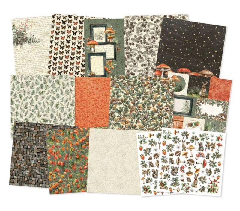 Sada scrapbookových oboustranně potištěných papírů P13 12x12" - Into the Woods - sada 12 listů