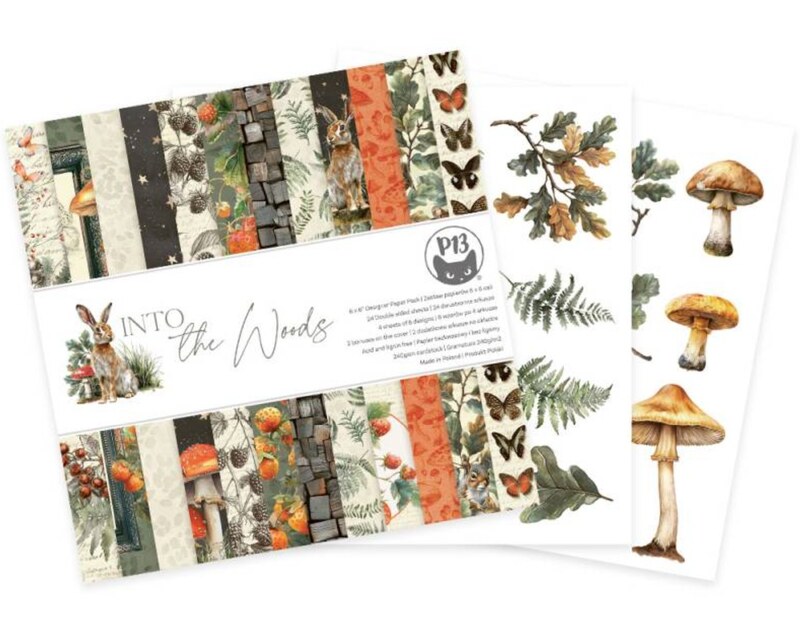 Sada scrapbookových oboustranně potištěných papírů P13 6x6" - Into the Woods - sada 12 listů