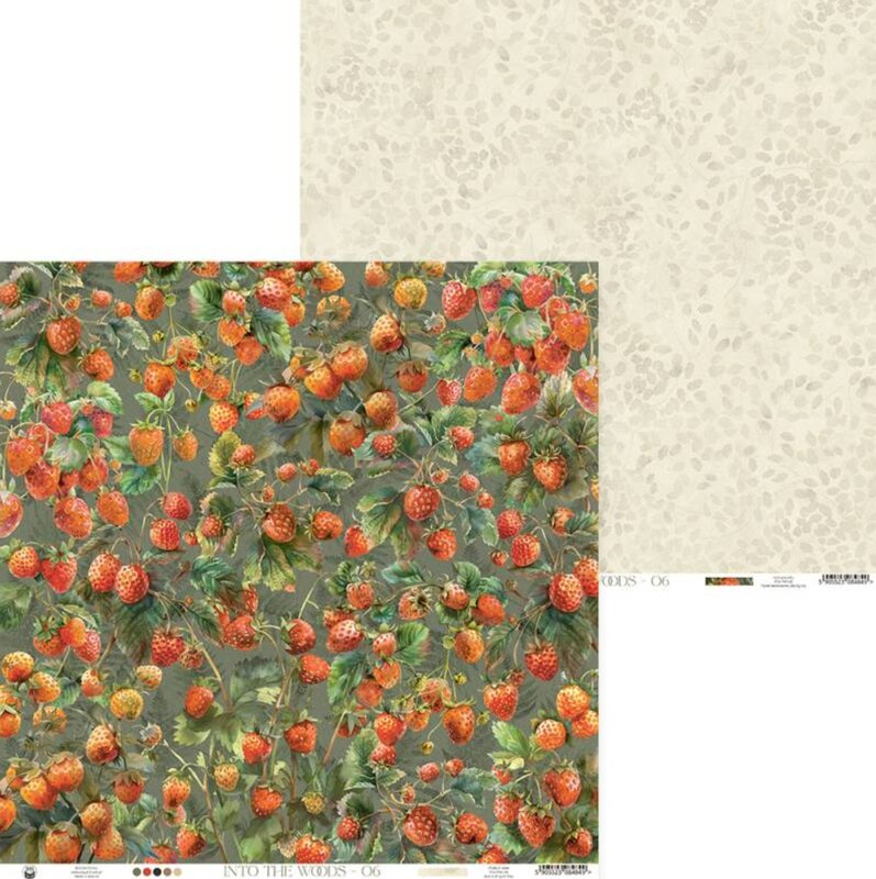 Potištěný papír 12x12" P13 Into the Woods 06 - 1 list