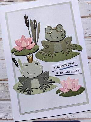 Přání ruční výroba - Žabky - Blahopřejeme k narozeninám - 1 ks
