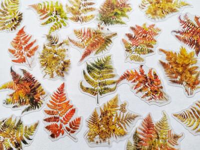 Průhledné samolepky "podzimní kapradí" - sada 20 ks