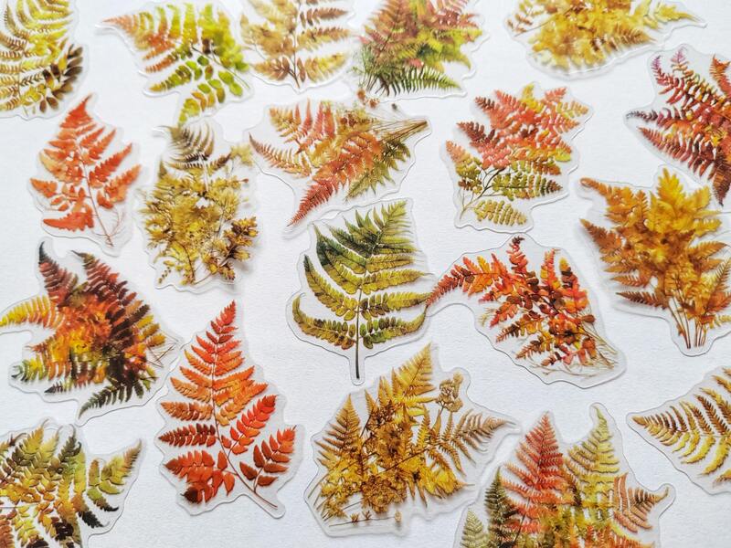 Průhledné samolepky "podzimní kapradí" - sada 20 ks