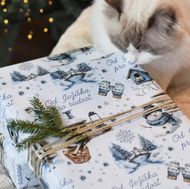 Vánoční balicí papír 70 x 100 cm - 115 g/m2 - Sněží, sněží