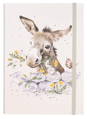 Zápisník Wrendale B6 linkovaný - oslík - 1 ks