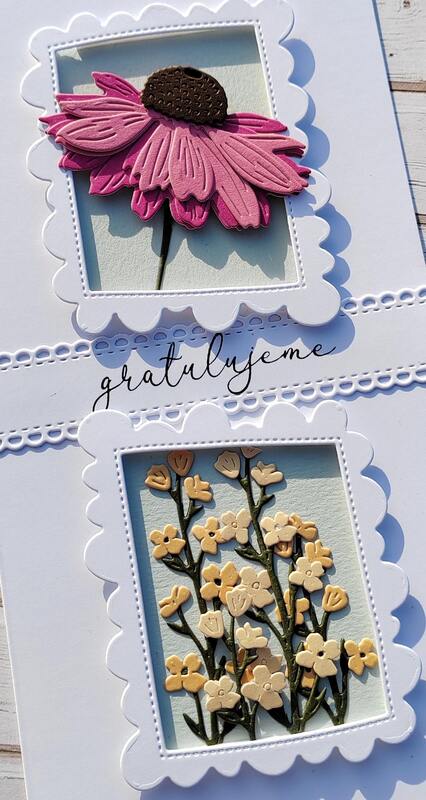 Přání ruční výroba - Květiny v rámečku - Echinacea - 1 ks