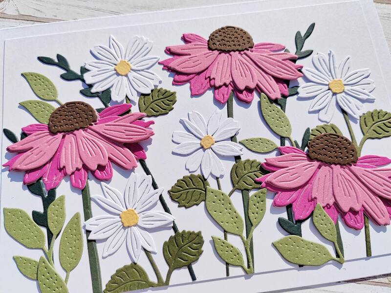 Přání ruční výroba - Echinacey a kopretiny - 1 ks