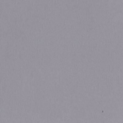 Scrapbookový papír BAZZILL BASICS (30,5 cm) - středně šedá - 1 list