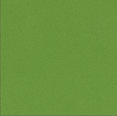 Scrapbookový papír BAZZILL BASICS (30,5 cm) - zelená - 1 list