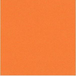 Scrapbookový papír BAZZILL BASICS (30,5 cm) - béžová