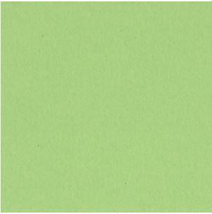 Scrapbookový papír BAZZILL BASICS (30,5 cm) - světle zelená - 1 list