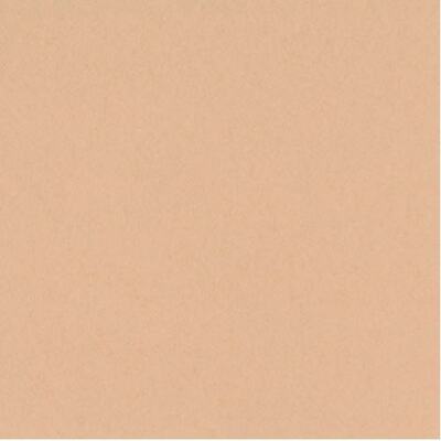 Scrapbookový papír BAZZILL BASICS (30,5 cm) - oříšková - 1 list