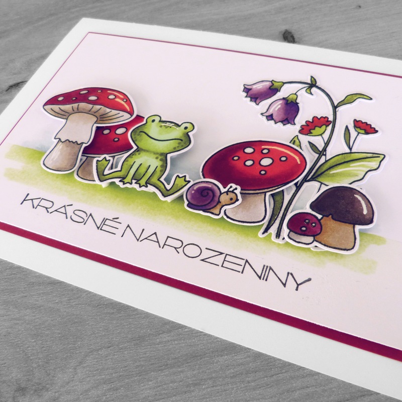 Přání ruční výroba - Žabka