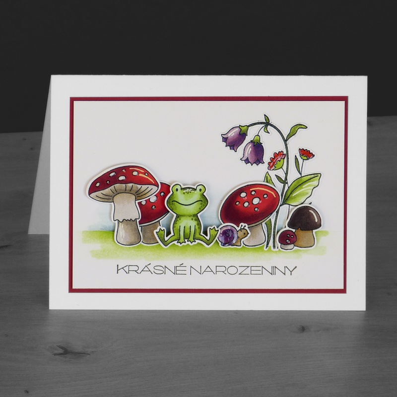 Přání ruční výroba - Žabka