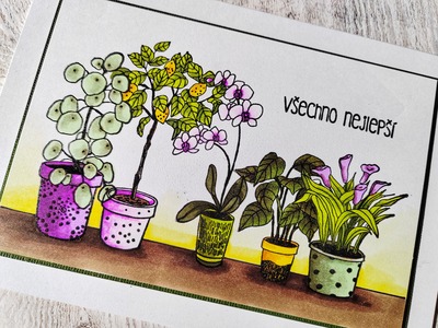 Přání ruční výroba - Pokojovky - 1 ks