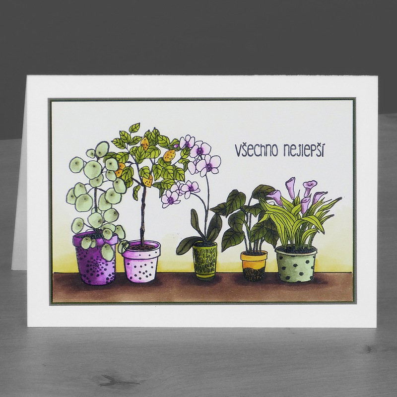 Přání ruční výroba - Pokojovky - 1 ks