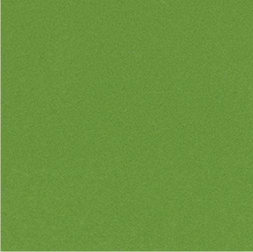 Scrapbookový papír BAZZILL BASICS (30,5 cm) - zelená - 1 list