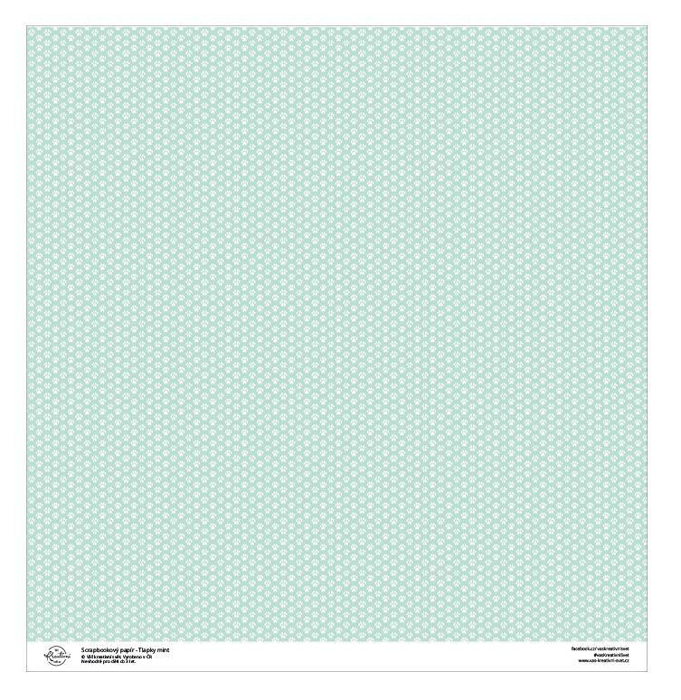Designový scrapbookový papír LEPIKARO (30,5 cm / 190 g) kočičí tlapky mint