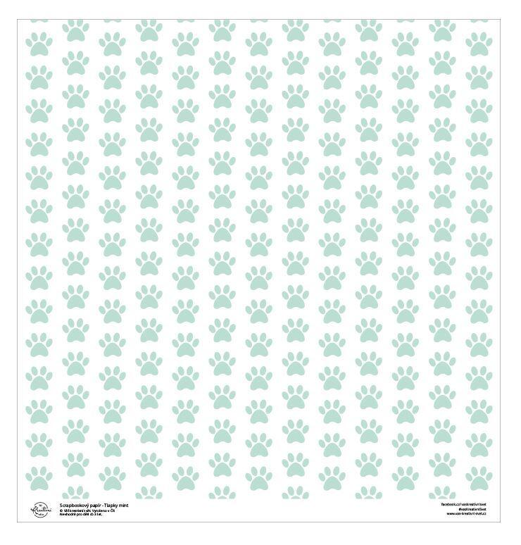 Designový scrapbookový papír LEPIKARO (30,5 cm / 190 g) psí tlapky mint