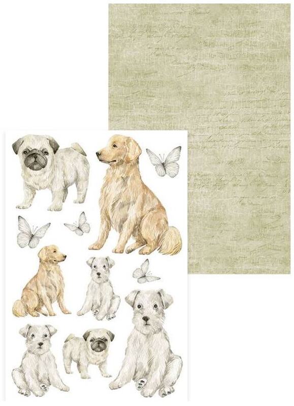 Mini kreativní sada P13 6x4" - zvířata - sada 24 listů