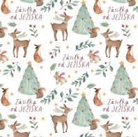 Vánoční balicí papír 70 x 100 cm - Zásilka od Ježíška - 1 arch