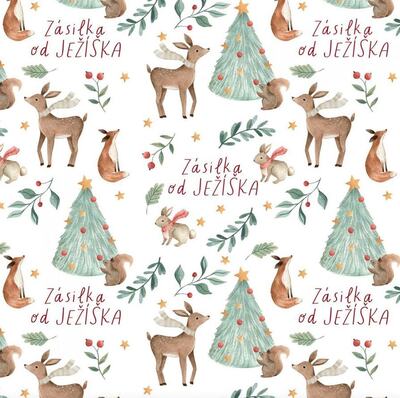 Vánoční balicí papír 70 x 100 cm - Zásilka od Ježíška - 1 arch
