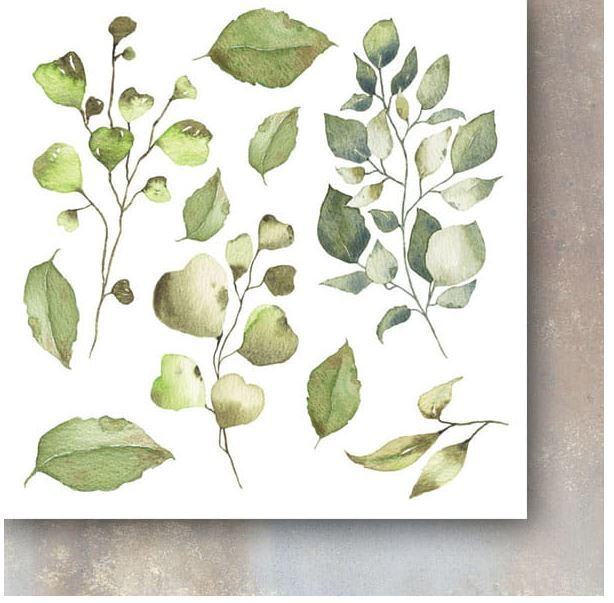 Sada oboustranně potištěných papírů PAPER HEAVEN 6x6" - Deep in the Forest_Flowers - sada 24 listů