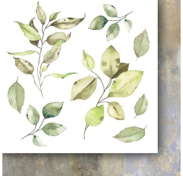 Sada oboustranně potištěných papírů PAPER HEAVEN 6x6" - Deep in the Forest_Flowers - sada 24 listů