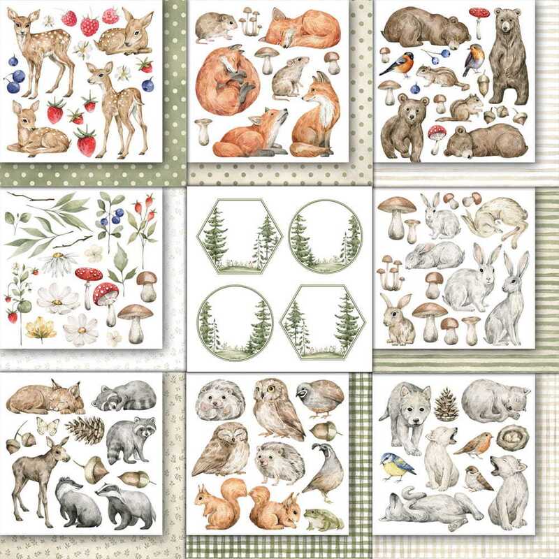 Sada oboustranně potištěných papírů PAPER HEAVEN 6x6" - Born to be wild_Flowers & Elements